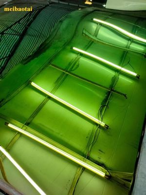 Goede prijs Groene spiegel kleurplaat Pvd coating decoratie roestvrijstalen plaat online