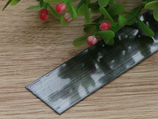 Haarlijn Afwerking PVD Kleurcoating 201 Roestvrij staal Kleefrol Flat Tape Tile Trim